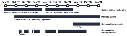 2018.04.05 Seven Months Into My Placement Year, What Have I Learned (Timeframe Diagram)